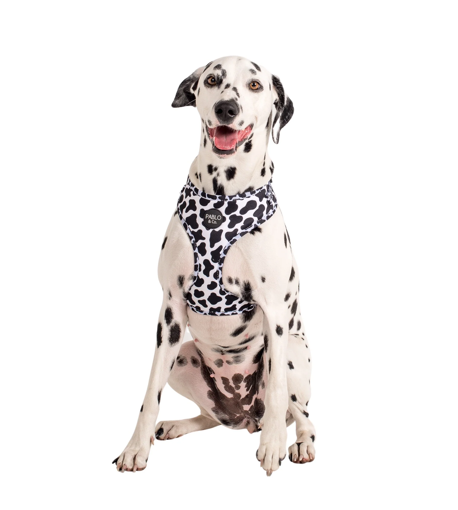 Moo Moo: Adjustable Harness - Image 3