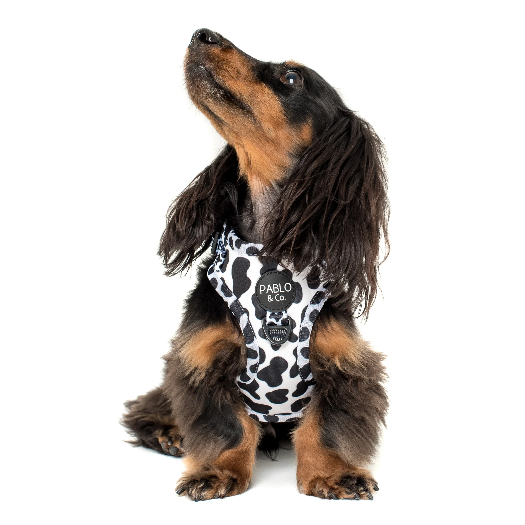 Moo Moo: Adjustable Harness - Image 6